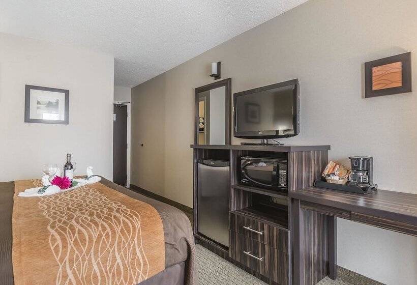 فندق Comfort Inn  Trenton