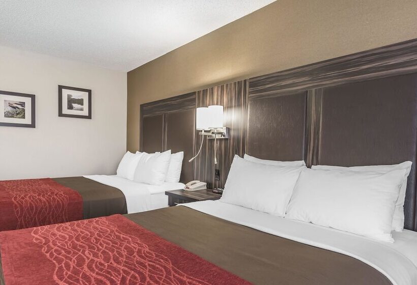 فندق Comfort Inn  Trenton