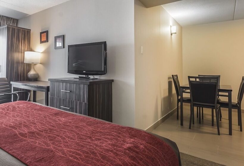 فندق Comfort Inn  Trenton