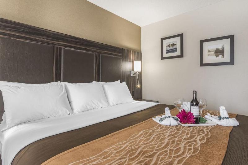 فندق Comfort Inn  Trenton
