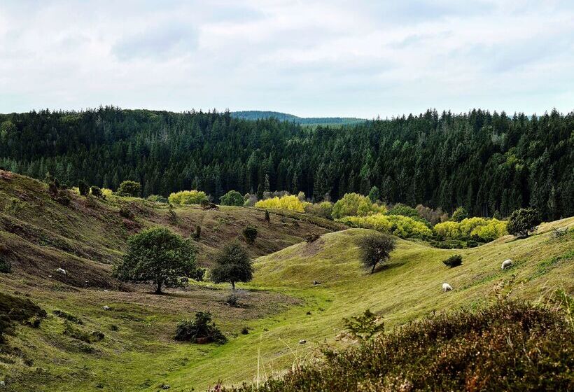 호텔 Comwell Rebild Bakker