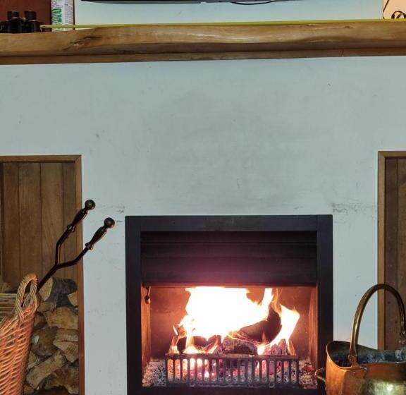 Отель Coromandel Apartments