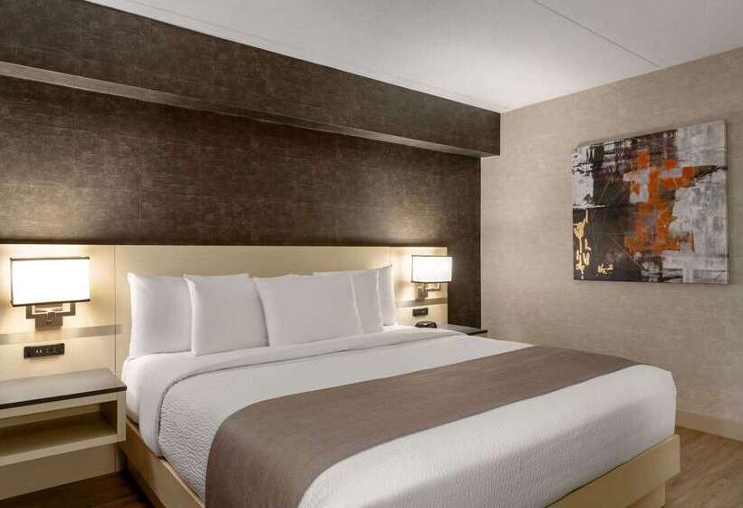 בית מלון כפרי Days Inn By Wyndham Toronto West Mississauga