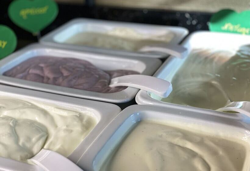 Gaia Hotel Basel The Sustainable 4 Star