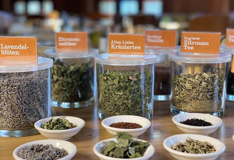 Gaia Hotel Basel The Sustainable 4 Star