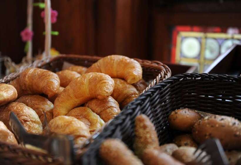 Gaia Hotel Basel The Sustainable 4 Star