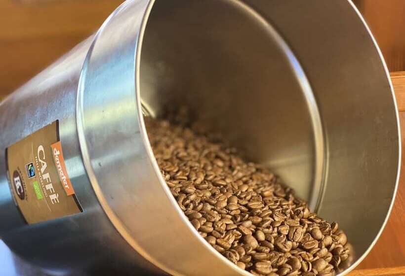 Gaia Hotel Basel The Sustainable 4 Star