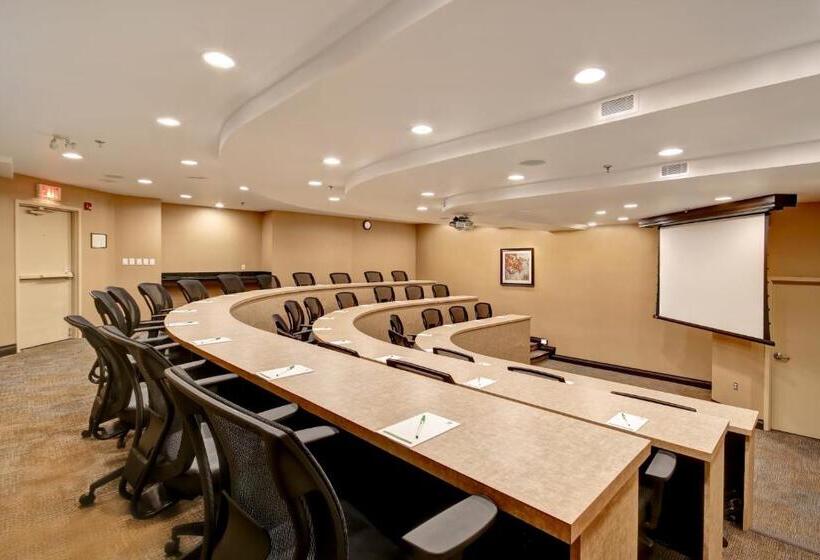 Отель Holiday Inn & Suites Windsor Ambassador Bridge By Ihg