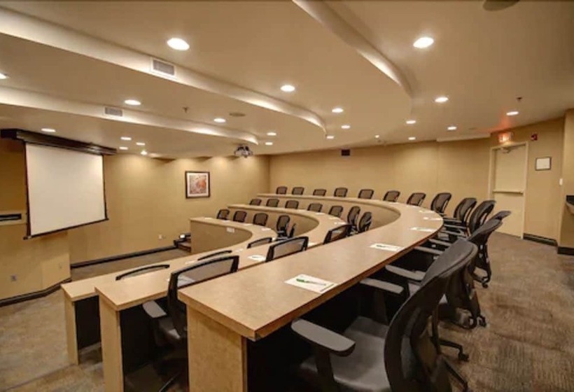 Отель Holiday Inn & Suites Windsor Ambassador Bridge By Ihg