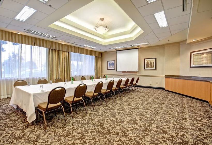Отель Holiday Inn & Suites Windsor Ambassador Bridge By Ihg