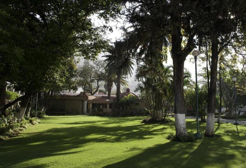 בית מלון כפרי Los Olivos Spa