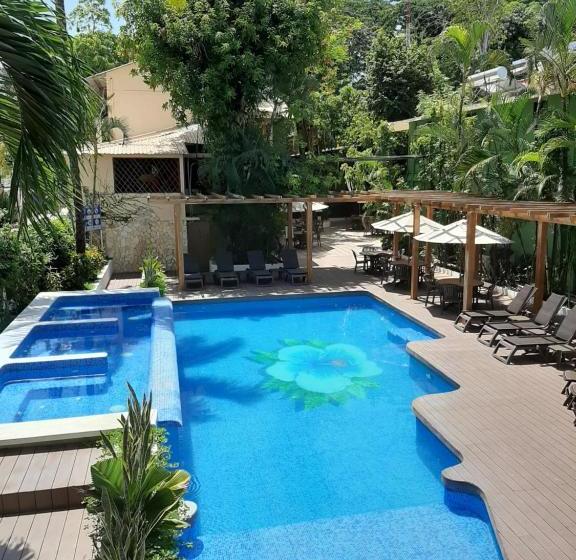 酒店 Maya Tulipanes