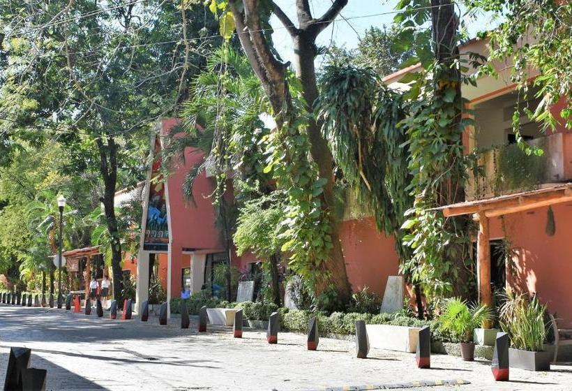 酒店 Maya Tulipanes