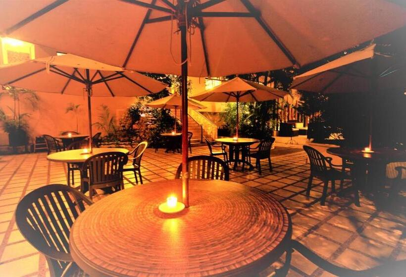 酒店 Maya Tulipanes