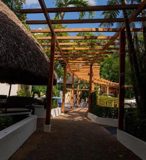 酒店 Maya Tulipanes