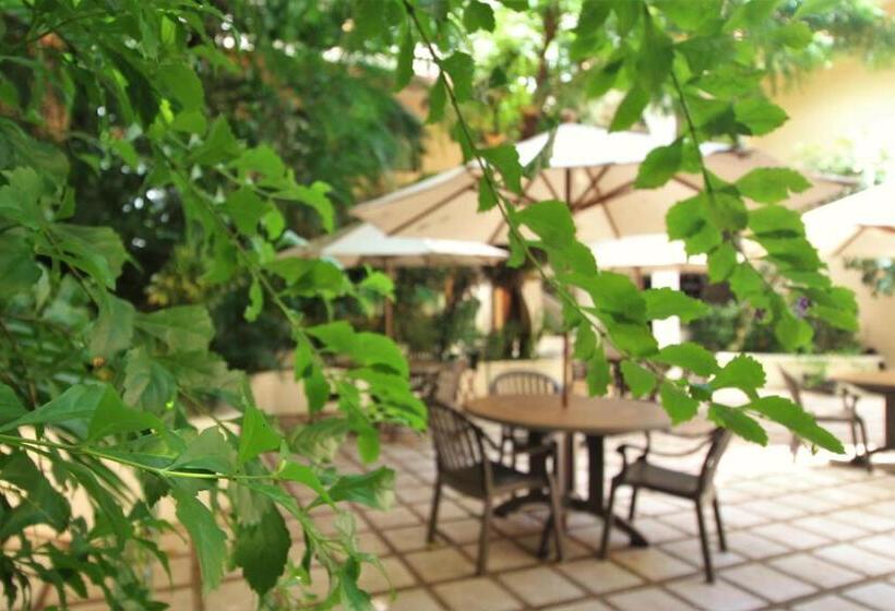 酒店 Maya Tulipanes