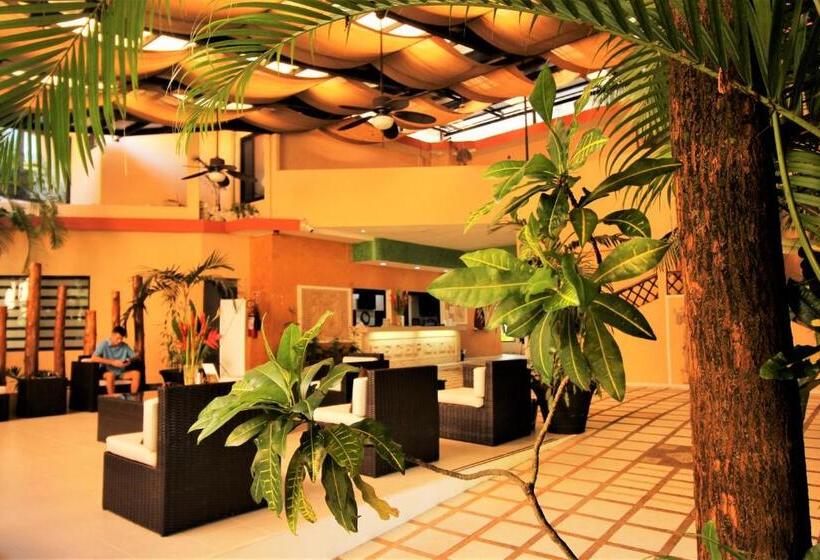 酒店 Maya Tulipanes