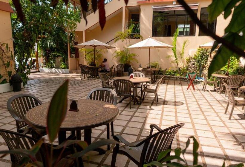 酒店 Maya Tulipanes