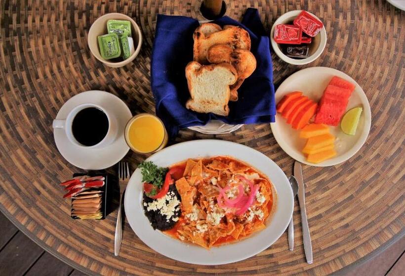 酒店 Maya Tulipanes