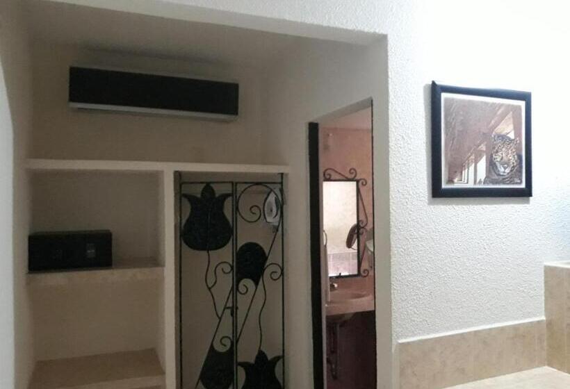 酒店 Maya Tulipanes