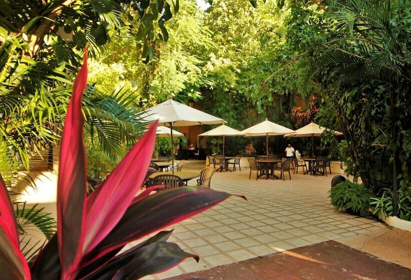 酒店 Maya Tulipanes