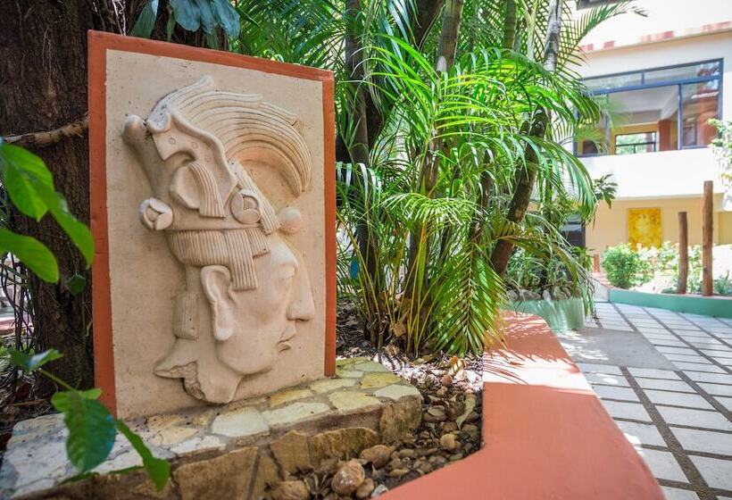 酒店 Maya Tulipanes