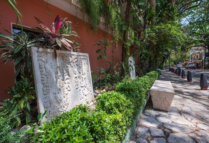 酒店 Maya Tulipanes