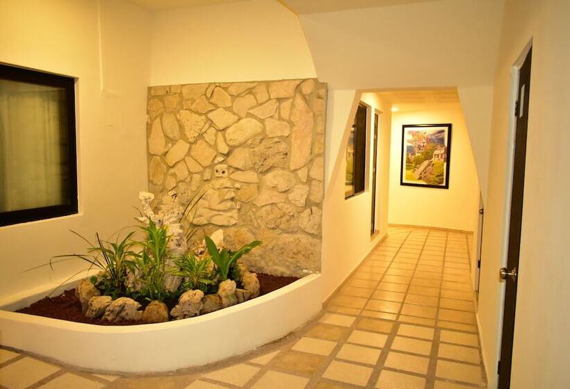 酒店 Maya Tulipanes