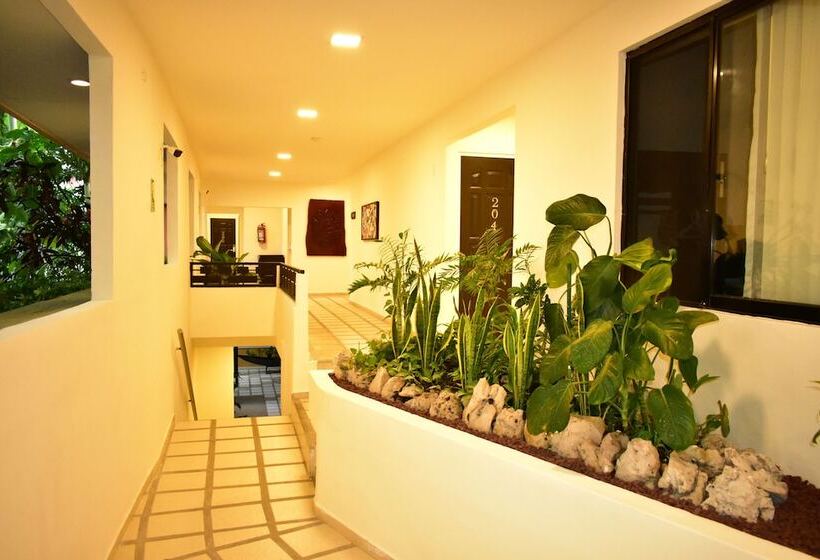 酒店 Maya Tulipanes