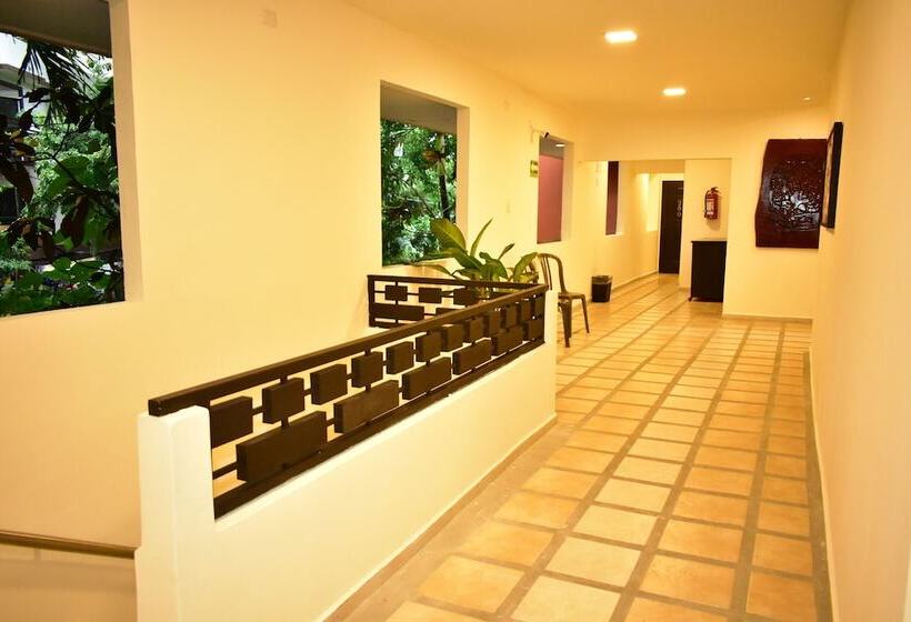 酒店 Maya Tulipanes