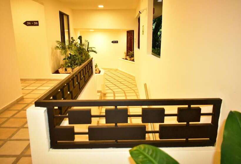 酒店 Maya Tulipanes