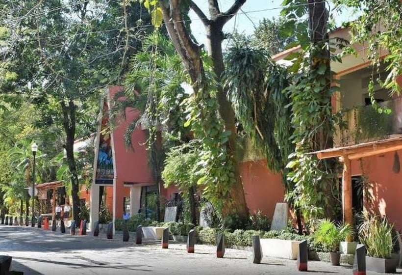 酒店 Maya Tulipanes