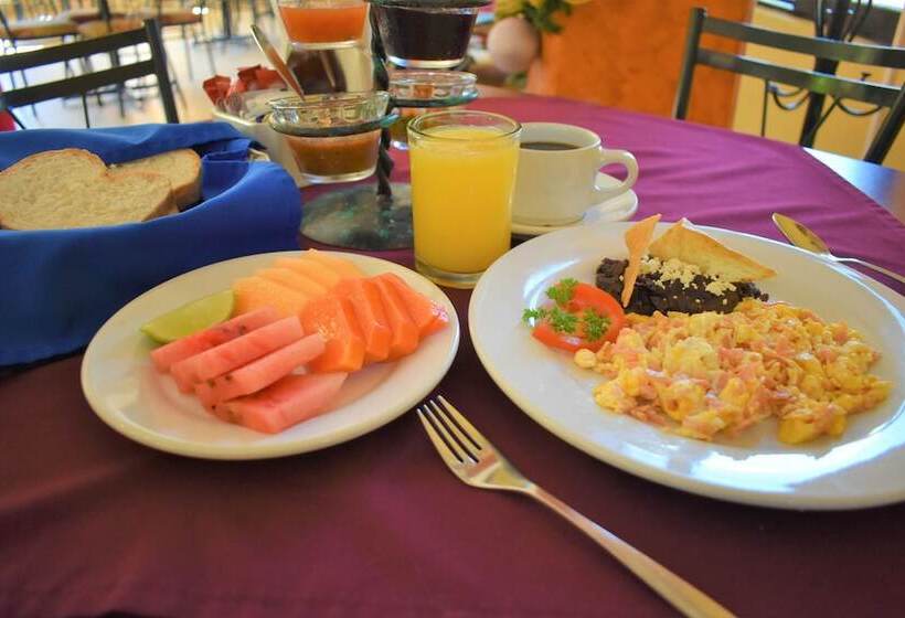 酒店 Maya Tulipanes