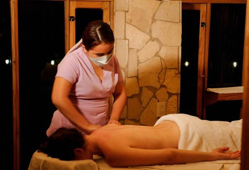 酒店 Maya Tulipanes