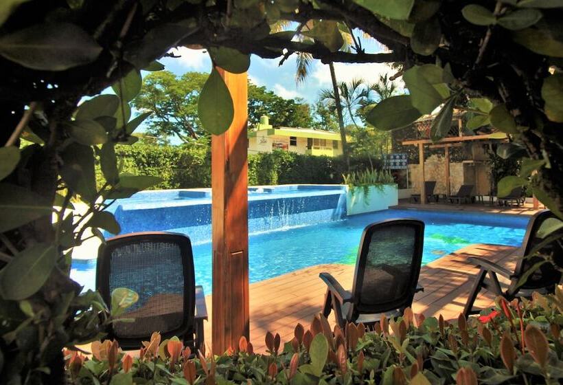 酒店 Maya Tulipanes