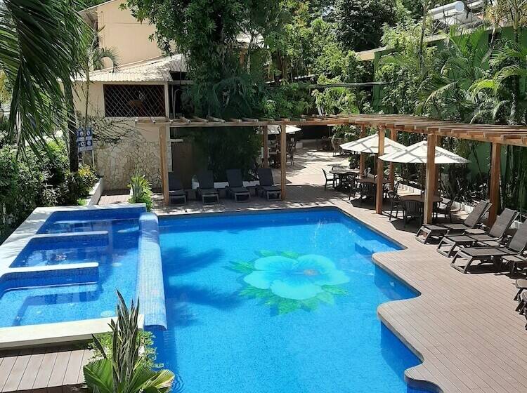 酒店 Maya Tulipanes