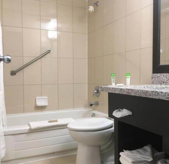 ホテル Mississauga Inn & Suites