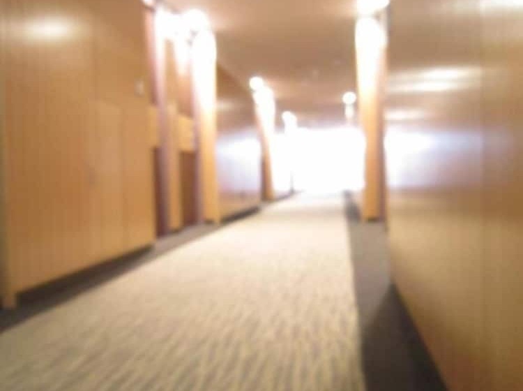 فندق Nagaoka Grand