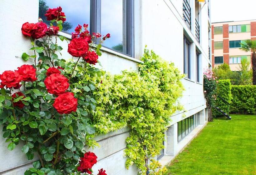 فندق Nessi Locarno