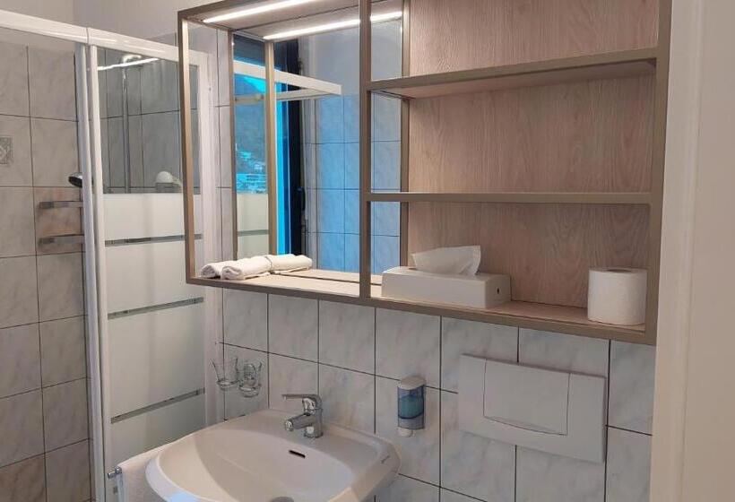 فندق Nessi Locarno