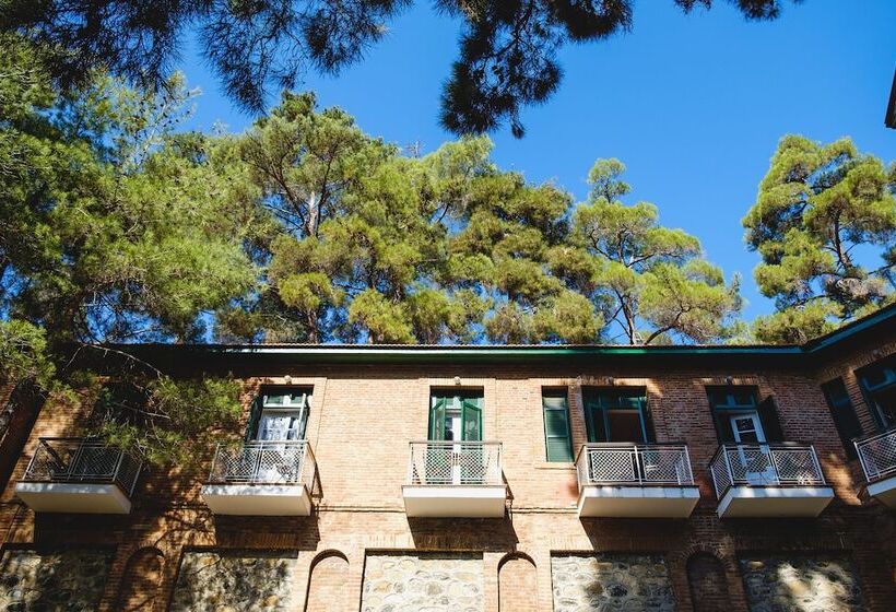 בית מלון כפרי New Helvetia