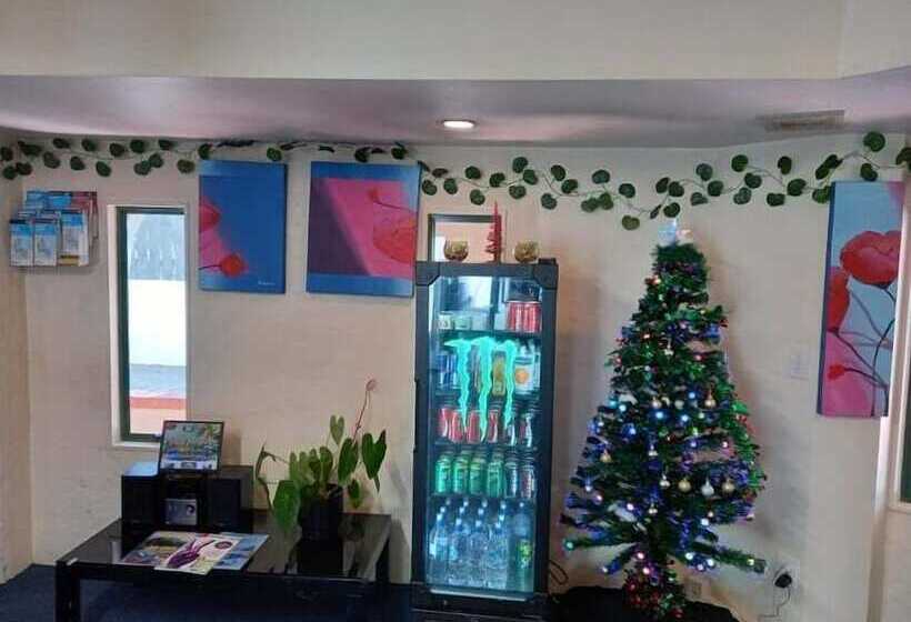 호텔 Parklane Motor Lodge