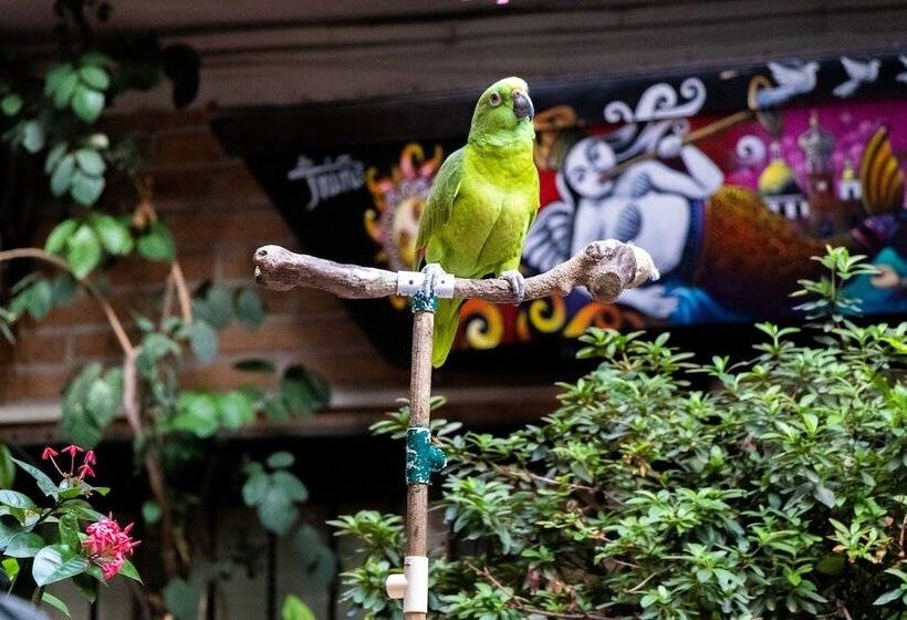 فندق Posada De Roger