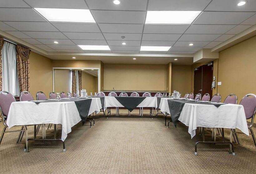 酒店 Quality Inn & Suites Bay Front