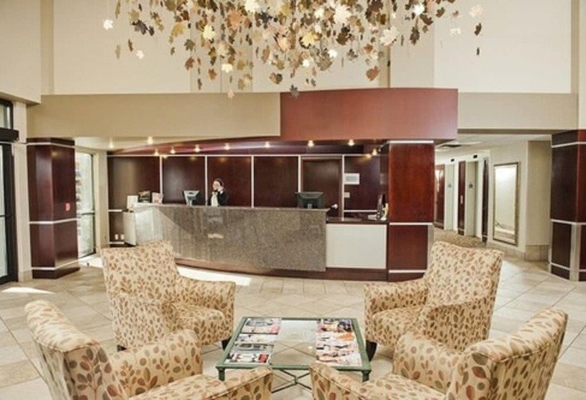 酒店 Quality Inn & Suites Bay Front