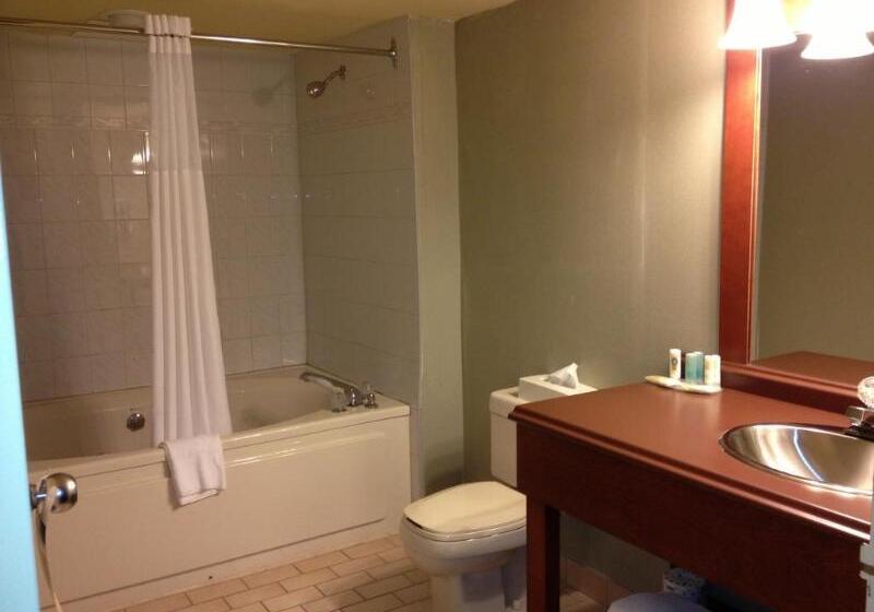 酒店 Quality Inn & Suites Bay Front