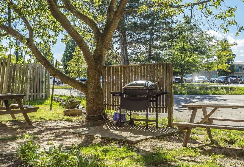 فندق Comfort Suites