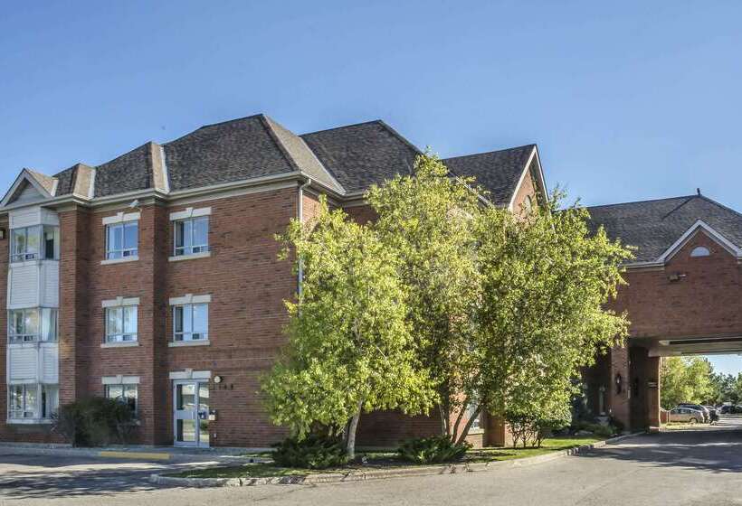 فندق Comfort Suites