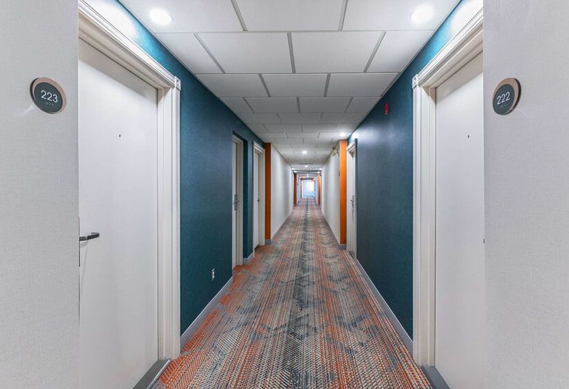 فندق Comfort Suites