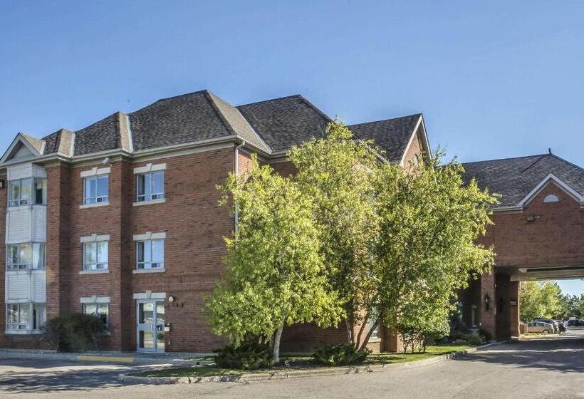 فندق Comfort Suites